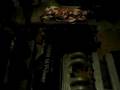 videos de loods bassie en flex
