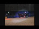 Demonstratie Paard en Koets 2007 Fell ponies Deel 1 Demonstratie Paard en Koets 2007 Fell ponies Deel 1