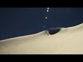 Skiing in Gulmarg, Kashmir - foto 1