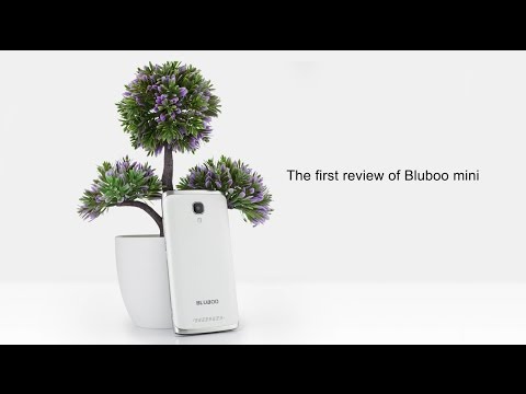 Обзор Bluboo Mini (3G, 1/8Gb, blue)