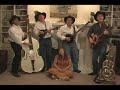 Bluegrass #49 Bluegrass #49