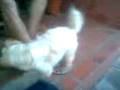 sami jugando