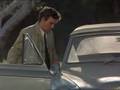 Columbo and the Dog