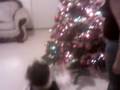videos de Bebes Hermosos - Mi pequeña Joscelyne 002