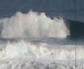 WWW.TILLUSCREATIONS.ES.TL