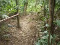 hutan bandar before ramadhan