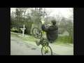 Wheelies manuals N stoppies