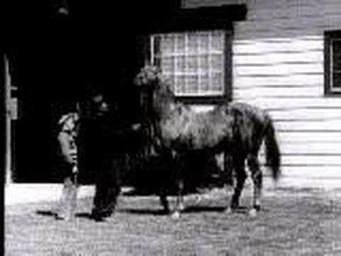 Man O' War II