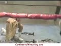 Brandi Wine vs Brandi Alexander Continental Wrestling