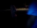 wAtA FiGhT