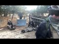 Debated whether or not to upload this but clearly, as you can see, here it is. All of this footage was taken by Daev of moorestownairsoft. Really nothing too serious, just old fashioned fun airsoft. Thanks for watching!