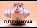 Thumbnail #1