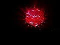 Project One LIVE @ Qlimax 2008