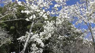 最近の写真・動画