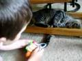 Alex and Luca Playing 