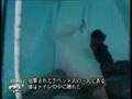 中国軍チベット巡礼者殺害映像(日本語字幕付き)