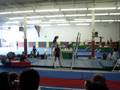 gianna  , new york down states level 4 bars