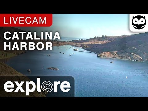 Live-Cam: USA - Catalina Island - Catalina Harbor - K ...