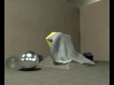 Cinema 4d Rigid Body & Clothide Test