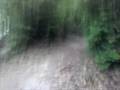 Ultra short mountain-biking in Nishinomiya
