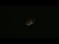 Lunar Ellipse (August 28, 2007)