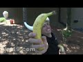 Banana Bunker