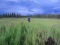 Old Bettles Road Bog Waterbed