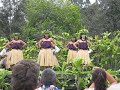 Hula in Hawaii 1