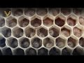 Обучающее видео по пчеловодству