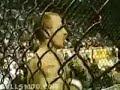 MMA vs. Taekwondo