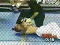 MMA vs. Taekwondo MMA vs. Taekwondo