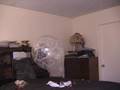 Stuffer Balloon