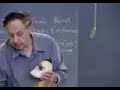 Professor Gil Brenner on Cephalopods #5
