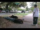 See video