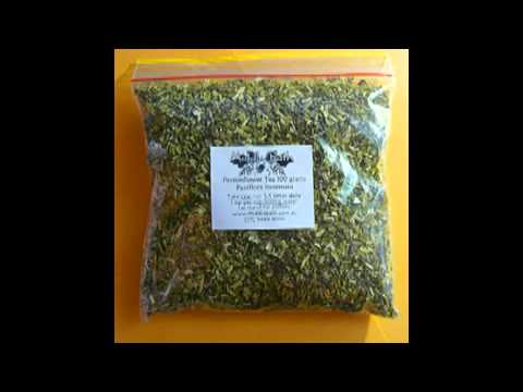 how to eliminate epilepsy