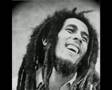 Bob Marley " Reggae "