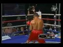 zaid zavaleta tko tigre