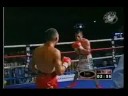 zaid zavaleta tko tigre