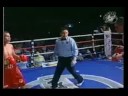 zaid zavaleta tko tigre