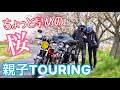 【親子ツー】Vol.66 ちょっと早めの桜