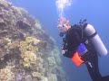 Dive Fiji 2006 Part I