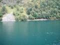 Fjord Norvégien