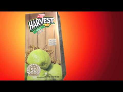 how to harvest guava