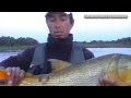 Pesca con Posada Paso de la Patria (Corrientes, Argentina) #4 - Zona Safari TV Pesca con Posada Paso de la Patria (Corrientes, Argentina) #4 - Zona Safari TV