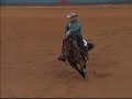 Reining