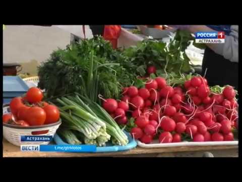 Просмотр видео