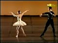 Alina Cojocaru at 21 - Don Quixote pdd (adagio)