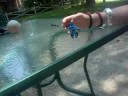 Is It Random Yet?? [018]