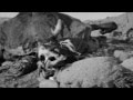 Jesse Mcfaddin Access Violation Official Music Video and Lyrics