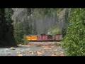 DRGW 315 along the Animas River